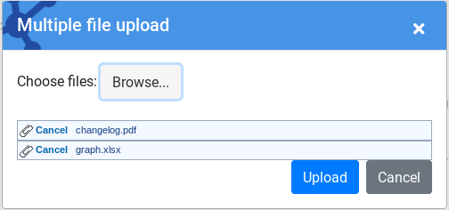 Multiple file upload form